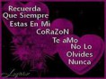 /album/fotogaleria-fotogaleria/imagesca0rlolv-jpg/